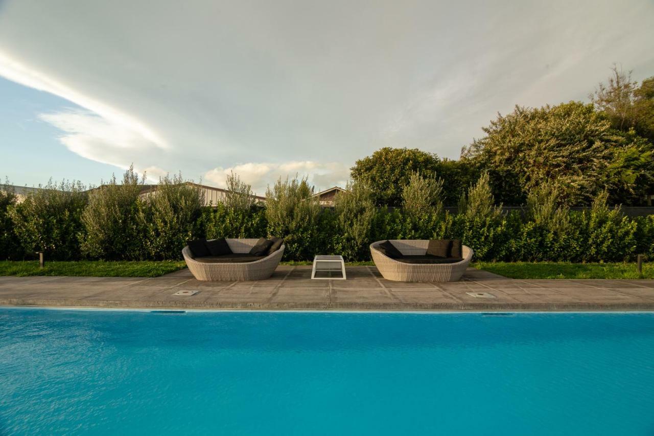 Number 35 Villa Martinborough Dış mekan fotoğraf